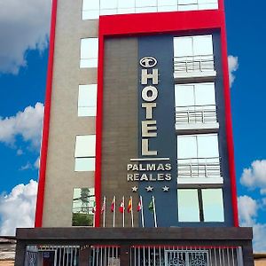 Hotel Palmas Reales